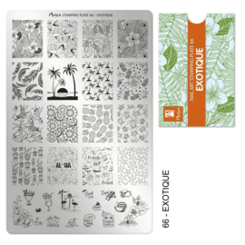 Moyra Stamping Plate 066 Exotique