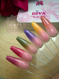 Fade & Ombre Shades Gel - Box 6 kleuren