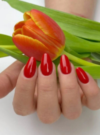 Yoshi Gelpolish Essence - Let the Scarlet 6ml - 604  - TPO Free