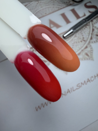 Fade & Ombre Bliss Gel  - Box 6 kleuren