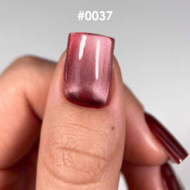 DNKa' Gel Polish Cat Eye Silk  - 0037