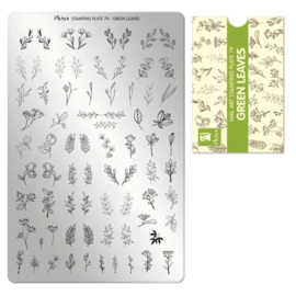 Moyra Stamping Plate 079 Green Leaves+ Gratis Try On Sheet