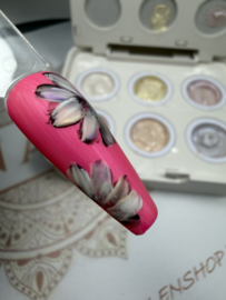 Fade & Ombre Pearl Gel  - Box 6 kleuren