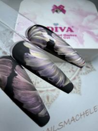 Fade & Ombre Pearl Gel  - Box 6 kleuren