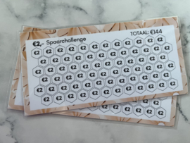 €2,- spaar challenge