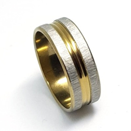 Gouden Ring Met 2 Geschuurde Randen