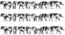 Noch 16164 -  XL Set “Koeien, zwart-witte”