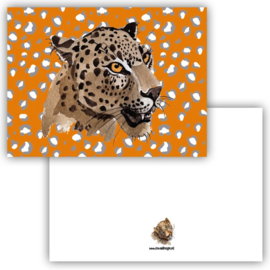 Kaart Leopard orange ( PER 5 STUKS )