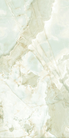 Reve de Rex Perla glossy