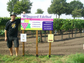 Wijngaard Edelhof