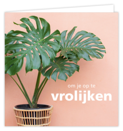 Wenskaart Dream