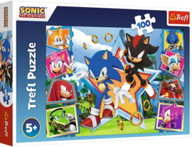 Trefl - Puzzles - 100" - Meet Sonic / SEGA Sonic The Hedgehog"
