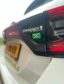 3D sticker Achterhoekse vlag