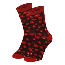 APOLLO ADULTS SODA SOCKS COLA
