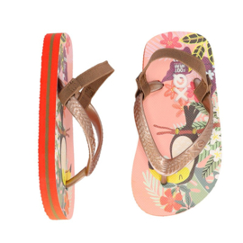 XQ GIRLS FLIPFLOPS PRINTED MULTI COLOR PUPIL