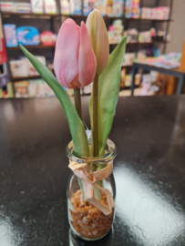 Tulp in vaasje 21 cm Roze