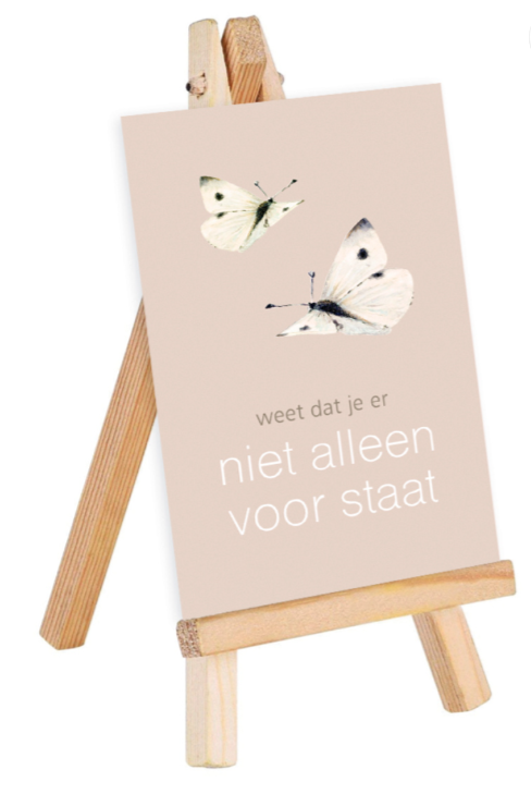 Doosje Troost 15 st.