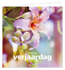 Wenskaart Dream