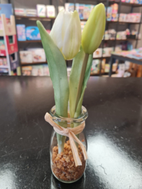 Tulp in vaasje 21 cm Wit