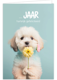 Wenskaart Whoop Whoop