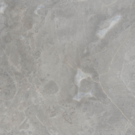 Marble Gricio Grey