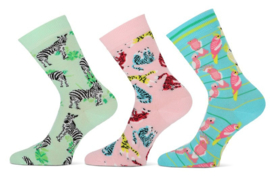 Dames sokken animals 3 pack - maat 36/42