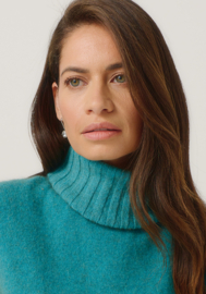 Merinomink Kolsjaal, Glacier