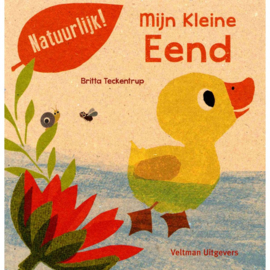 Mijn kleine eend.