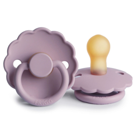 FRIGG speen daisy T1 heather