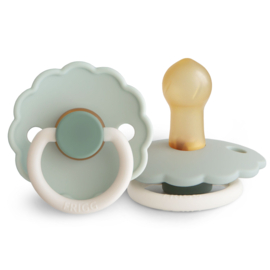 FRIGG speen daisy T1 Little Darling