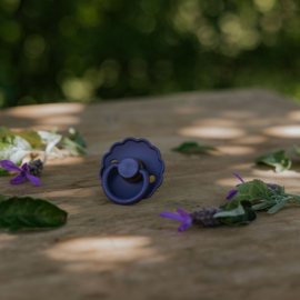 FRIGG speen daisy T2 Violet Dream