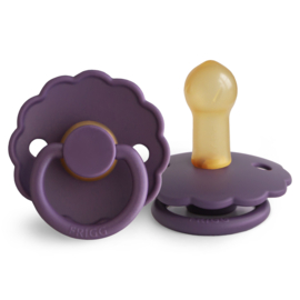 FRIGG speen daisy T2 Violet Dream