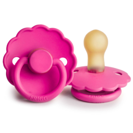 FRIGG speen daisy T1 fuchsia