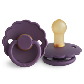 FRIGG speen daisy T1 Violet Dream