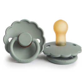 FRIGG speen daisy T1 sage