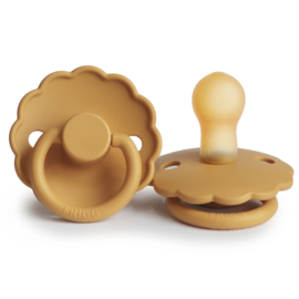FRIGG speen daisy T1 honey gold