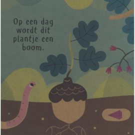 Natuurlijk! Wat groeit daar?.