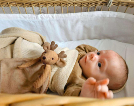 Happy Horse Moose Mellow Tuttle..