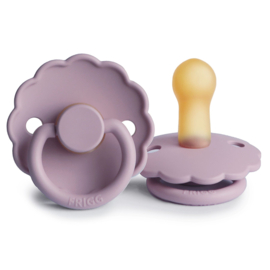 FRIGG speen daisy T2 heather