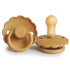 FRIGG speen daisy T2 honey gold