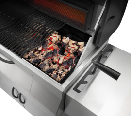 Napoleon CHARCOAL PROFESSIONAL PRO 605 RVS