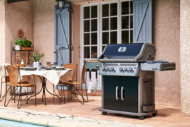 Napoleon Rogue® PRO-S 525 RSIB