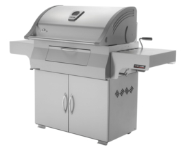 Napoleon CHARCOAL PROFESSIONAL PRO 605 RVS