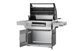 Napoleon CHARCOAL PROFESSIONAL PRO 605 RVS