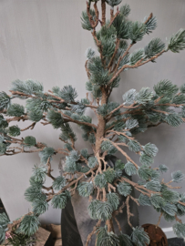 Kunst boompje larix