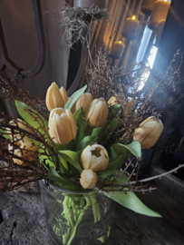 Tulpen champagne