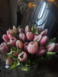 Tulpen 31 cm
