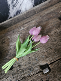 Tulpen roze