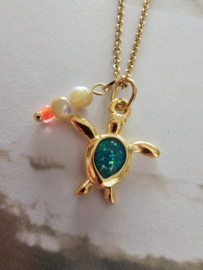 Ketting schildpad