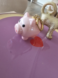 Bedel Lucky pig 🐷